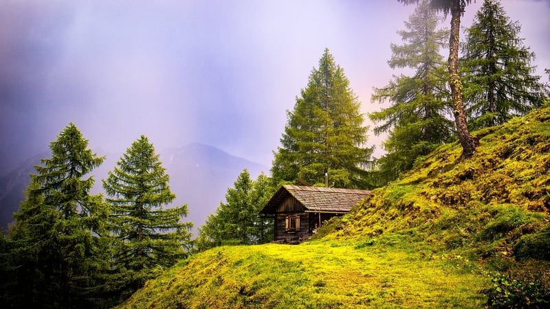 Cozy Cabin