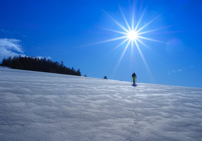 Snowshoeing